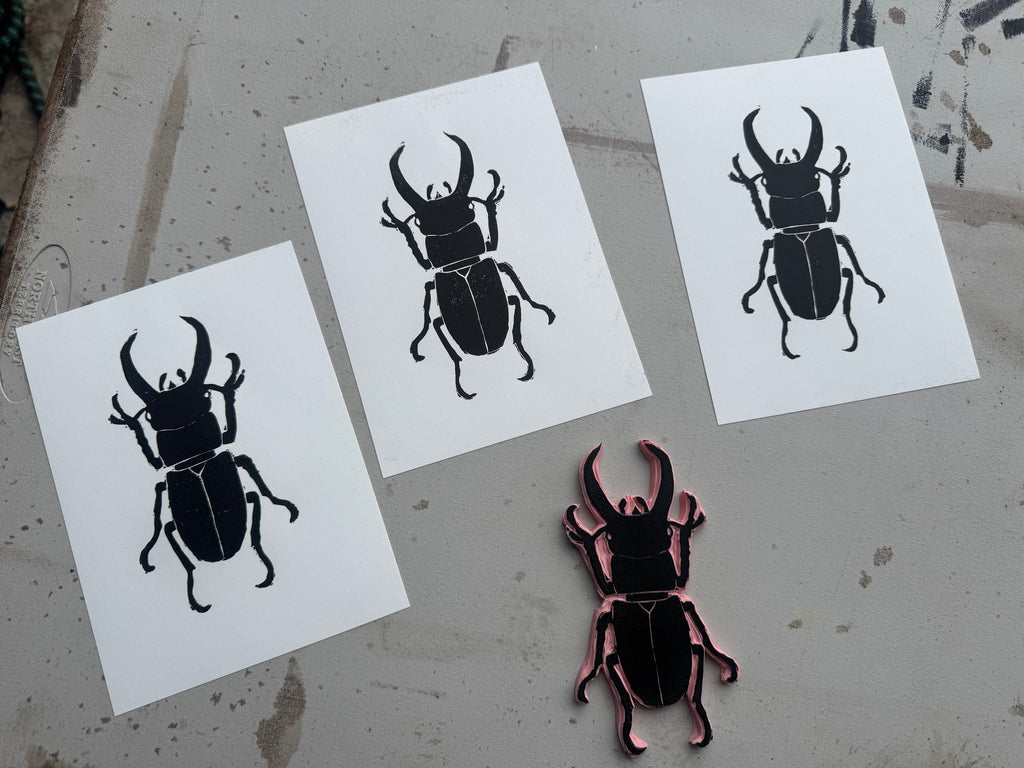 Stag Beetle