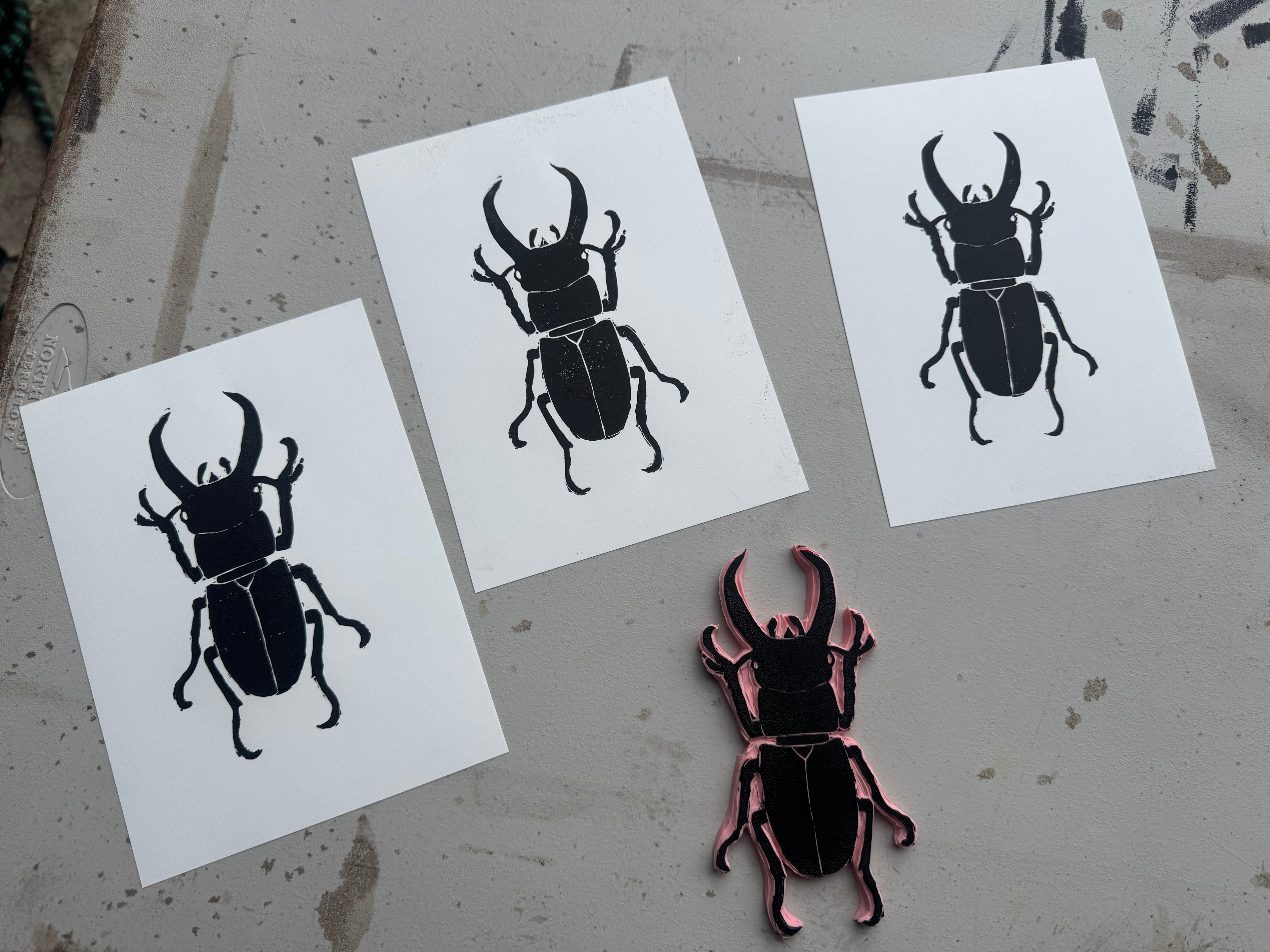 Stag Beetle
