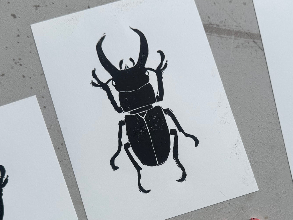 Stag Beetle