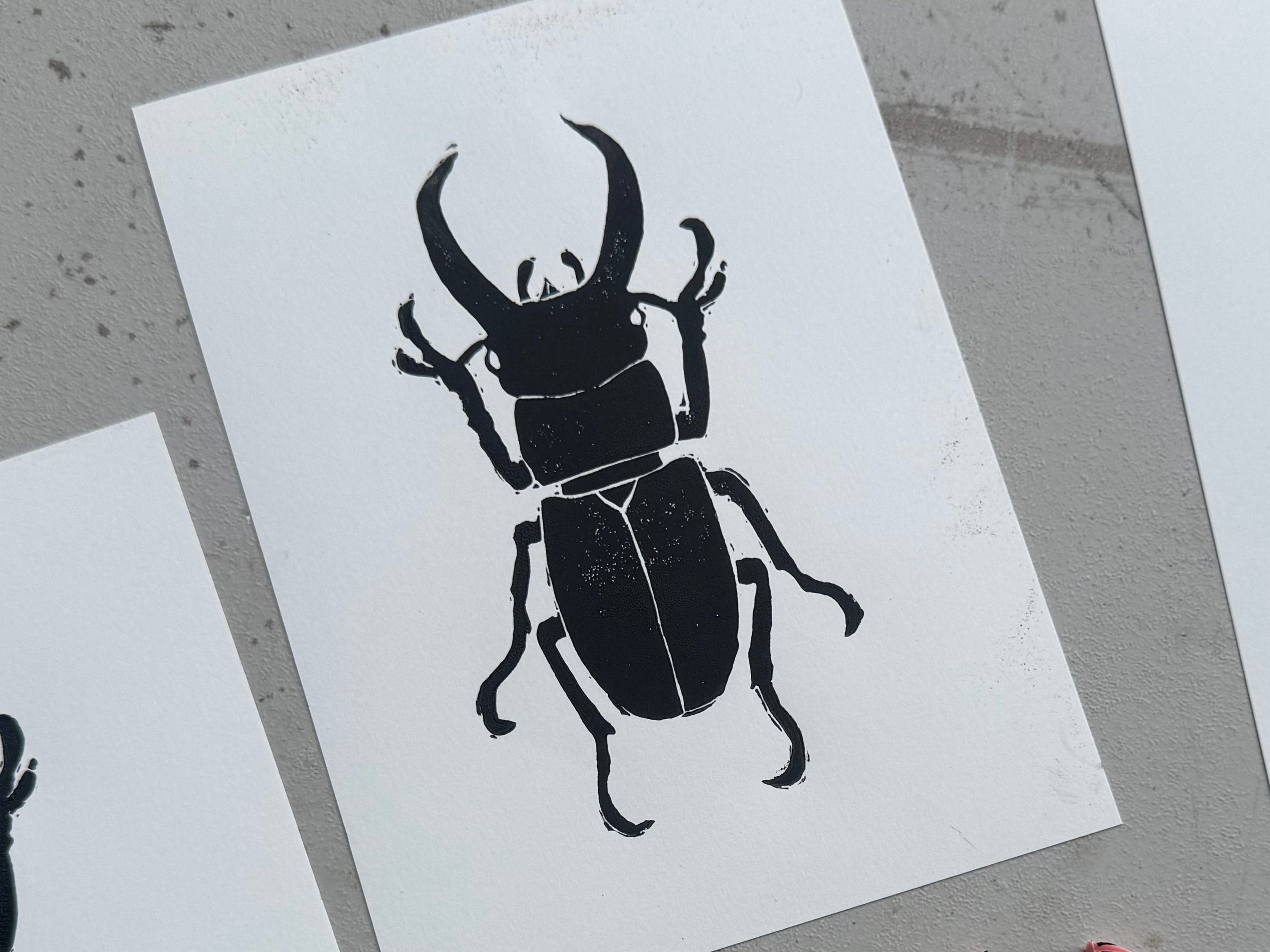 Stag Beetle